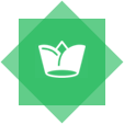 566.png?id=20