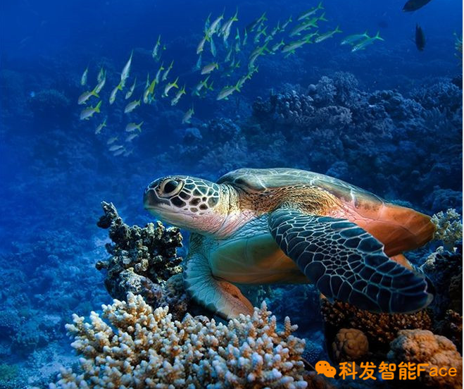 8c6c74fe5cb0852bfa2723df0c9032b0.png