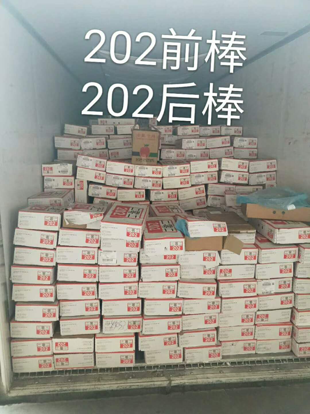 202前棒.jpg